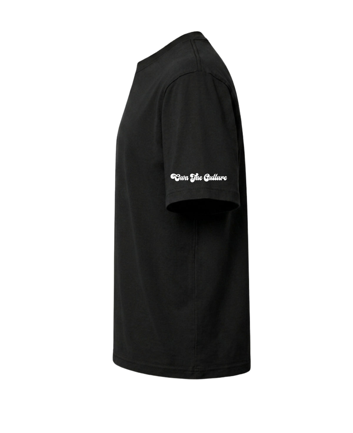 Absolut Vodka IV Bag Boxy Fit Tee